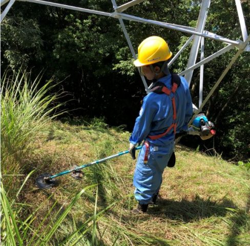 除草作業